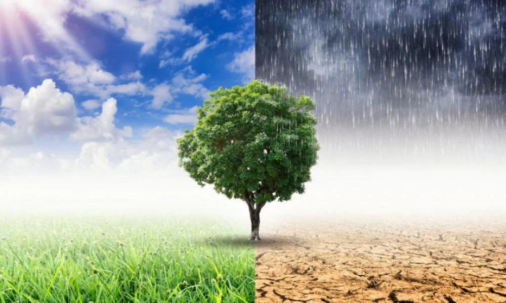 Χρέη έναντι κλιματικών στόχων: Το μεγάλο παζάρι της παγκόσμιας οικονομίας